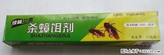 【紧急提醒】如果有“防疫站工作人员”上门灭杀蟑螂，请立刻报警 - 灌水专区 - 临沂生活社区 - 临沂28生活网 linyi.28life.net