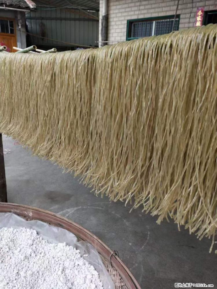 【灌阳正宗红薯粉】美女家里自己做的，干净卫生，假一赔十，价格合理，抢购电话：13737312895 - 美食天地 - 临沂生活社区 - 临沂28生活网 linyi.28life.net