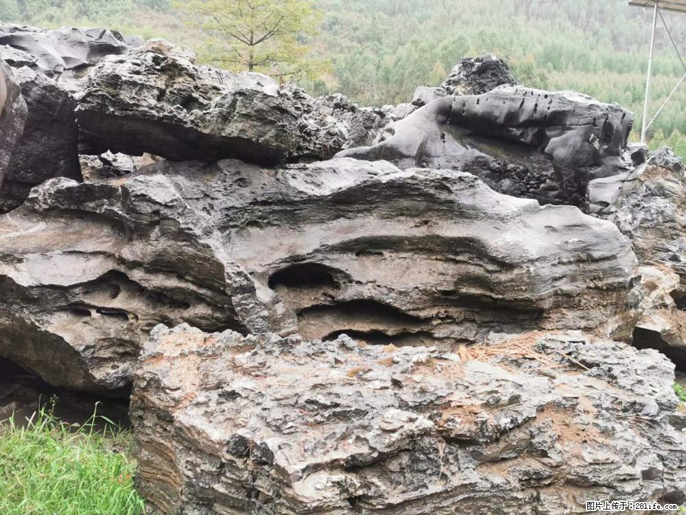 风景石、假山石大量有货，有需要的欢迎联系 - 新手上路 - 临沂生活社区 - 临沂28生活网 linyi.28life.net