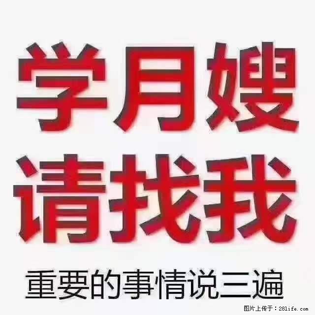 为什么要学习月嫂，育婴师？ - 其他广告 - 广告专区 - 临沂分类信息 - 临沂28生活网 linyi.28life.net