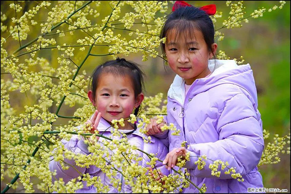 【春天，广西桂林灌阳县向您发出邀请！】米珠山前有片山苍子花在飘香 - 游山玩水 - 临沂生活社区 - 临沂28生活网 linyi.28life.net