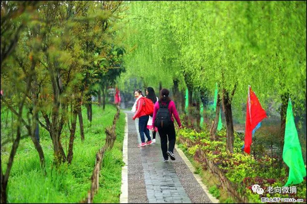 【春天，广西桂林灌阳县向您发出邀请！】江口老街又逢春 - 游山玩水 - 临沂生活社区 - 临沂28生活网 linyi.28life.net