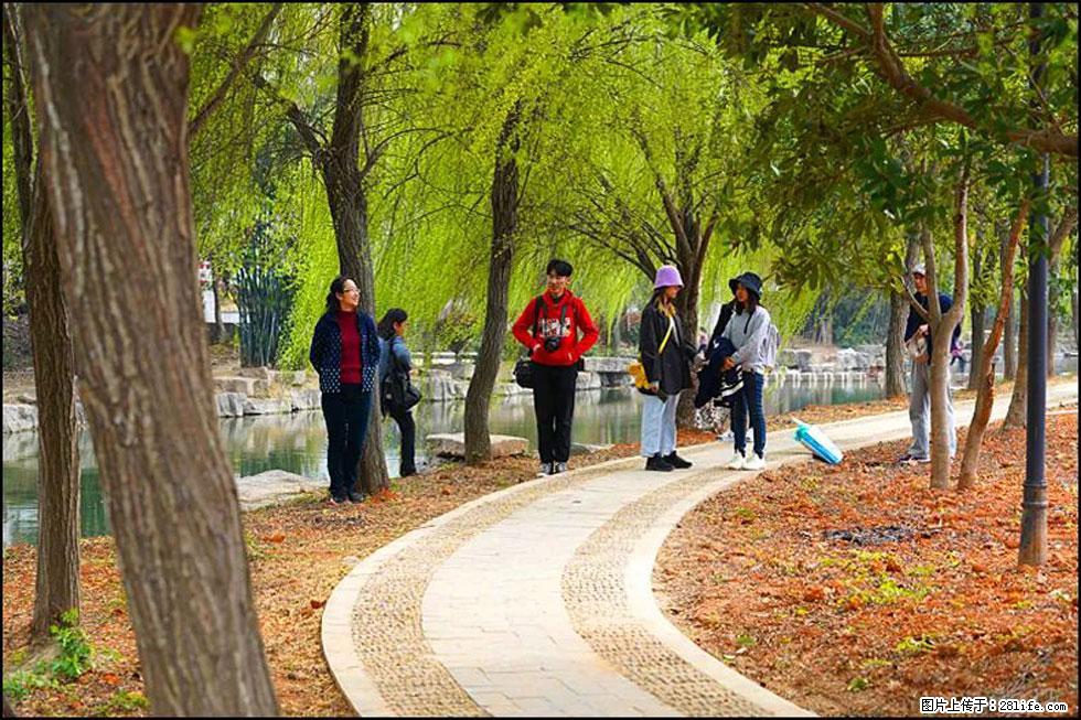 【春天，广西桂林灌阳县向您发出邀请！】江口老街又逢春 - 游山玩水 - 临沂生活社区 - 临沂28生活网 linyi.28life.net
