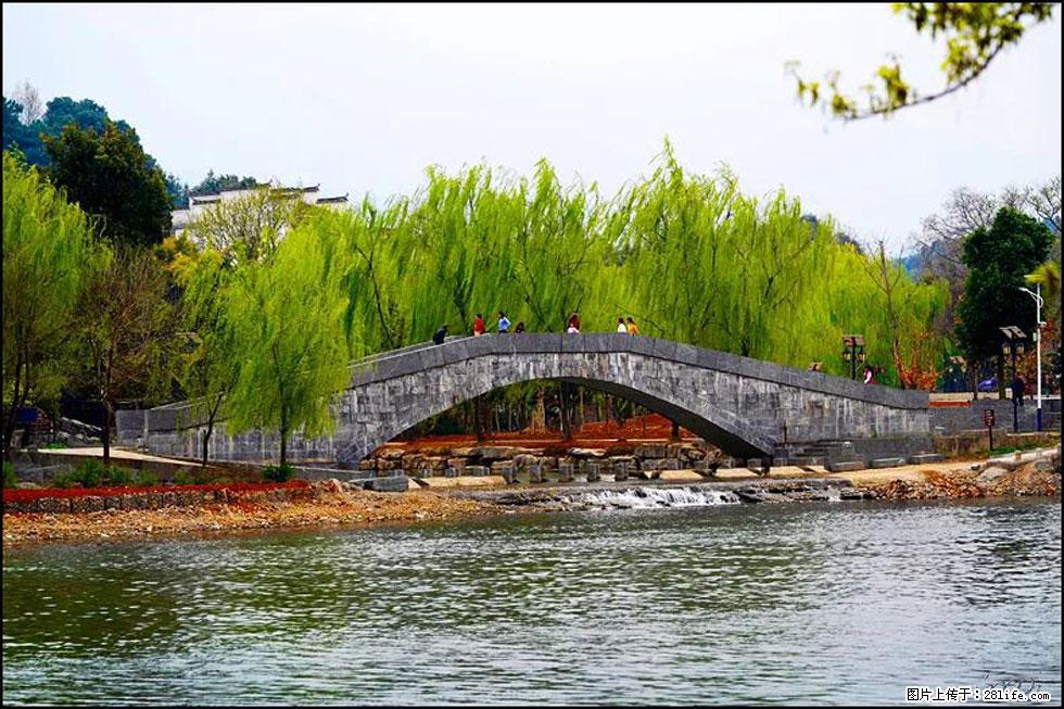 【春天，广西桂林灌阳县向您发出邀请！】江口老街又逢春 - 游山玩水 - 临沂生活社区 - 临沂28生活网 linyi.28life.net