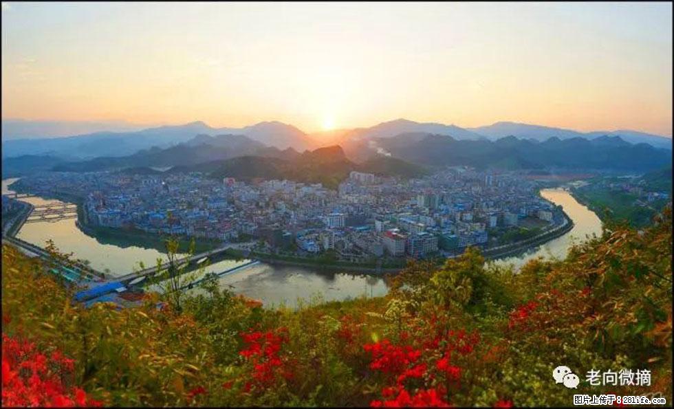 【春天，广西桂林灌阳县向您发出邀请！】登麒麟山，相约映山红 - 游山玩水 - 临沂生活社区 - 临沂28生活网 linyi.28life.net