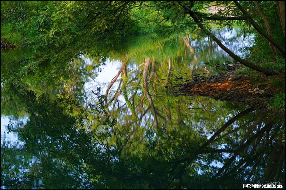 【春天，广西桂林灌阳县向您发出邀请！】熊家寨湿地公园 - 游山玩水 - 临沂生活社区 - 临沂28生活网 linyi.28life.net