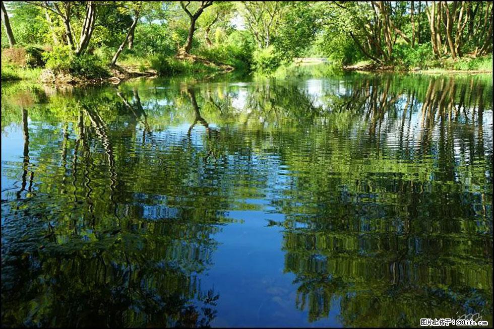 【春天，广西桂林灌阳县向您发出邀请！】熊家寨湿地公园 - 游山玩水 - 临沂生活社区 - 临沂28生活网 linyi.28life.net