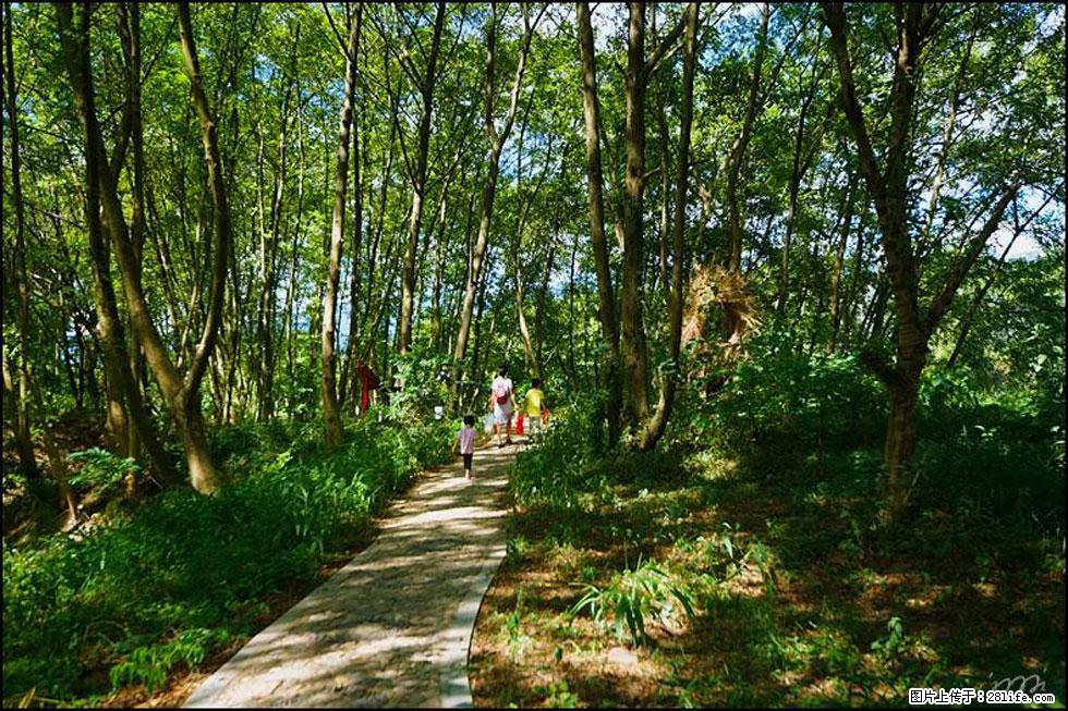 【春天，广西桂林灌阳县向您发出邀请！】熊家寨湿地公园 - 游山玩水 - 临沂生活社区 - 临沂28生活网 linyi.28life.net