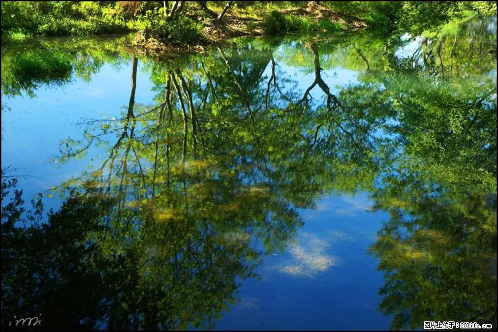 【春天，广西桂林灌阳县向您发出邀请！】熊家寨湿地公园 - 游山玩水 - 临沂生活社区 - 临沂28生活网 linyi.28life.net