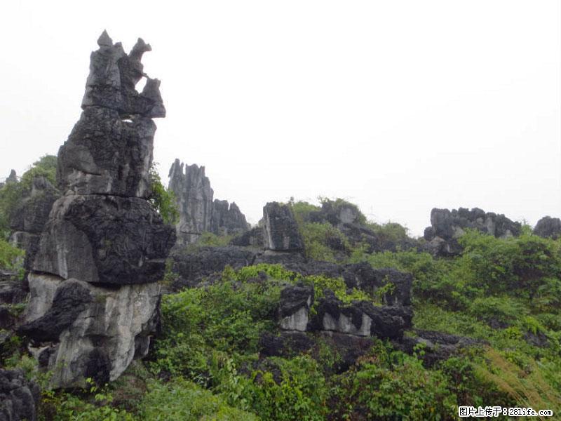 桂林旅游名城景点：灌阳文市石林 - 游山玩水 - 临沂生活社区 - 临沂28生活网 linyi.28life.net