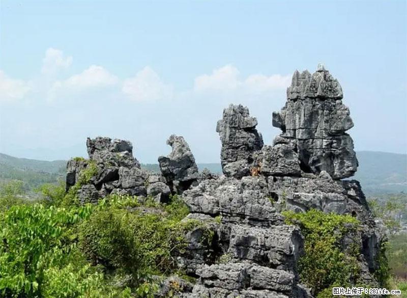 桂林旅游名城景点：灌阳文市石林 - 游山玩水 - 临沂生活社区 - 临沂28生活网 linyi.28life.net