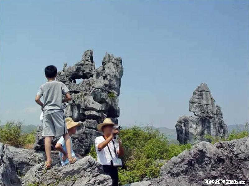 桂林旅游名城景点：灌阳文市石林 - 游山玩水 - 临沂生活社区 - 临沂28生活网 linyi.28life.net