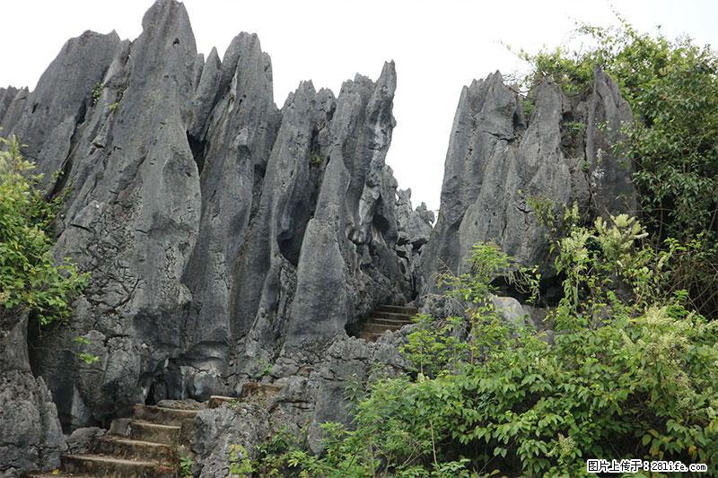桂林旅游名城景点：灌阳文市石林 - 游山玩水 - 临沂生活社区 - 临沂28生活网 linyi.28life.net