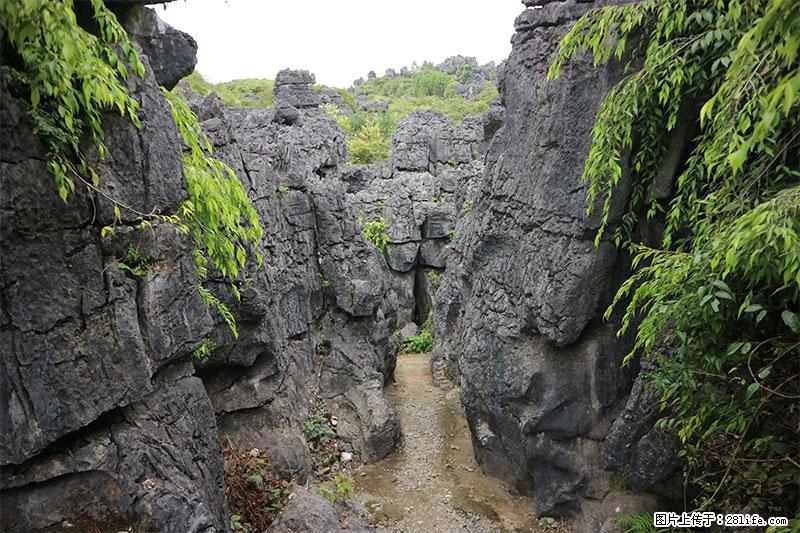 桂林旅游名城景点：灌阳文市石林 - 游山玩水 - 临沂生活社区 - 临沂28生活网 linyi.28life.net