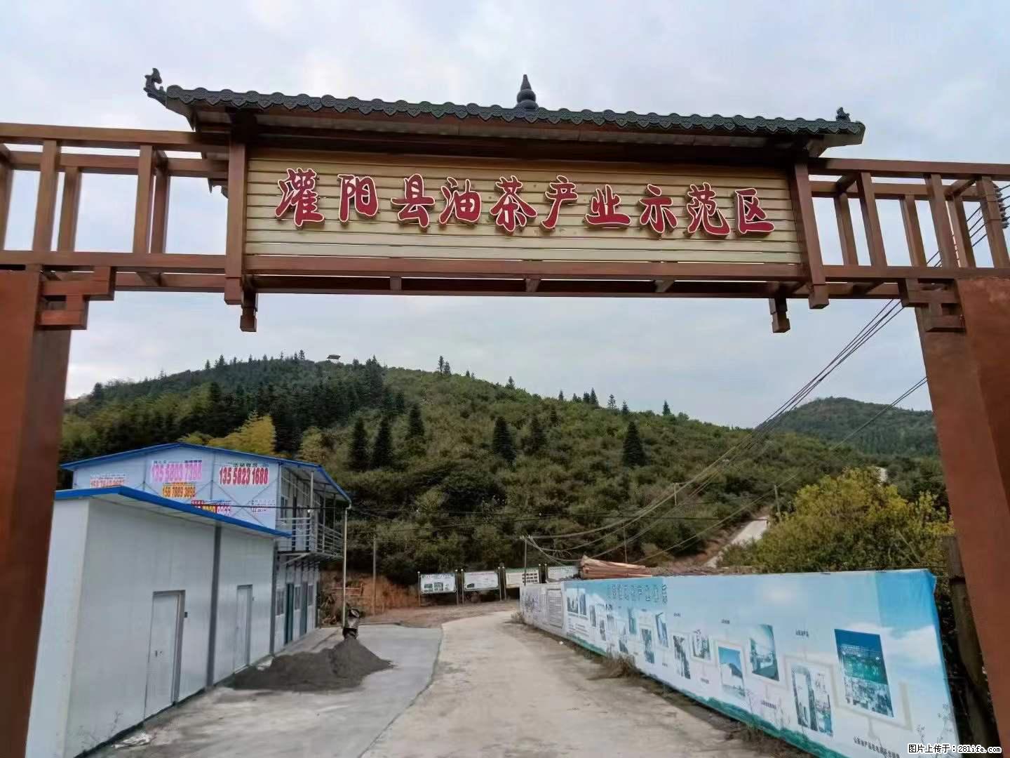 【灌阳县油茶产业示范区】一个有着充实的精神生活的人，对待身外之物自会有一种淡泊的态度 - 土特产 - 饮食特产 - 临沂分类信息 - 临沂28生活网 linyi.28life.net