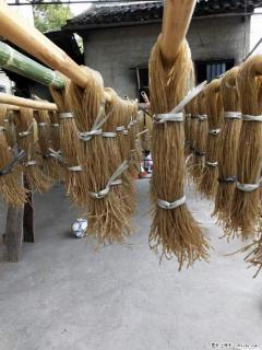 【灌阳正宗红薯粉】美女家里自己做的，干净卫生，假一赔十，价格合理，抢购电话：13737312895 - 临沂28生活网 linyi.28life.net