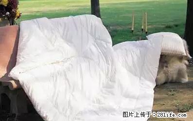 被子有异味？只要这样做，比晒太阳还强100倍！ - 家居生活 - 临沂生活社区 - 临沂28生活网 linyi.28life.net