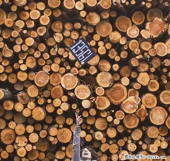 辞掉工作周游世界？现在他们在洗厕所…… - 游山玩水 - 临沂生活社区 - 临沂28生活网 linyi.28life.net