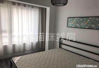 花语馨苑 豪华装修 新房 新家具 家电 武汉路马陵山路两室 - 临沂28生活网 linyi.28life.net