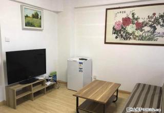 颐高上海街 精装公寓全套家具家电拎包入住只要1000 干净 - 临沂28生活网 linyi.28life.net