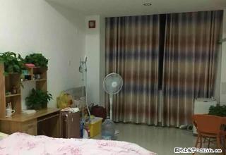 急租金猴精装一室单身公寓齐全拎包入住 南向1000/月速抢！ - 临沂28生活网 linyi.28life.net