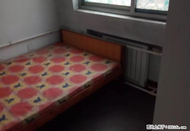 紧邻三小 十六中 拎包入住 绿化好干净卫生 - 房屋出租 - 房屋租售 - 临沂分类信息 - 临沂28生活网 linyi.28life.net