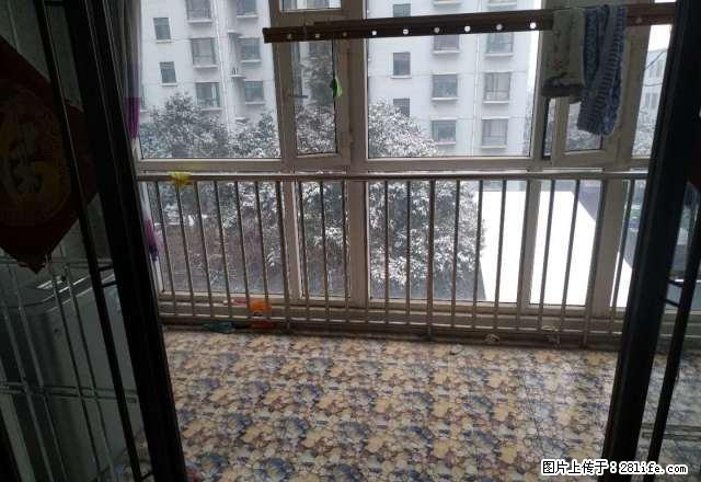 (单间出租)河畔花园精装修豪华民居房 ， 押一付三随时可看房 拎包入住 - 房屋出租 - 房屋租售 - 临沂分类信息 - 临沂28生活网 linyi.28life.net