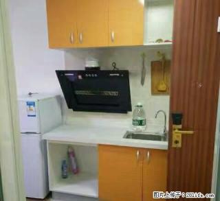 专业出租，美星公寓，御园公寓，金泰公寓，鸿儒国际 - 临沂28生活网 linyi.28life.net