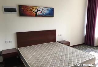 出租五路高架旁 全新酒店公寓 精装拎包入住 - 临沂28生活网 linyi.28life.net