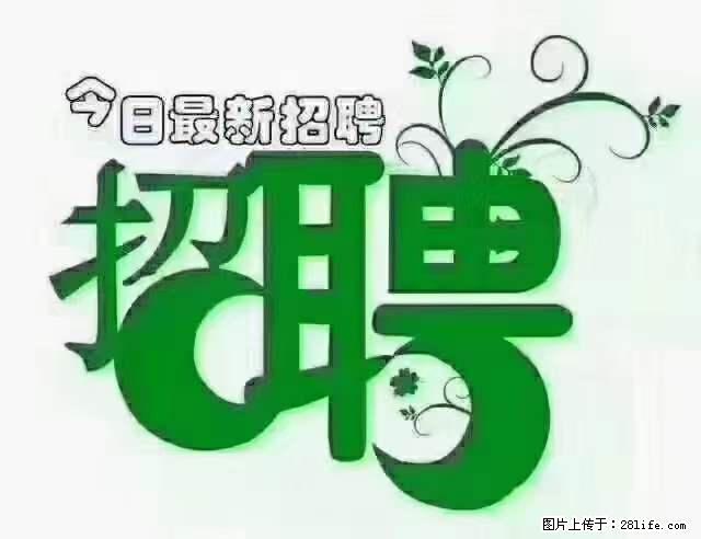 【招聘摄像师】待遇:试用期6000元/月,转正7000元/月+五险一金+餐补+节日福利+奖金 - 其他招聘信息 - 招聘求职 - 临沂分类信息 - 临沂28生活网 linyi.28life.net