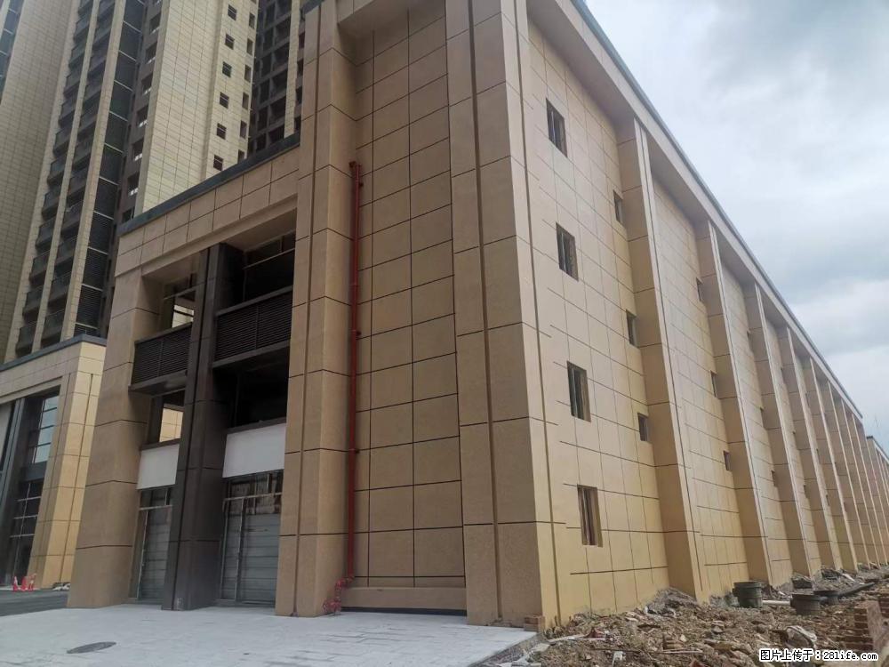 【广西三象建筑安装工程有限公司】外墙涂料工程 - 新手上路 - 临沂生活社区 - 临沂28生活网 linyi.28life.net