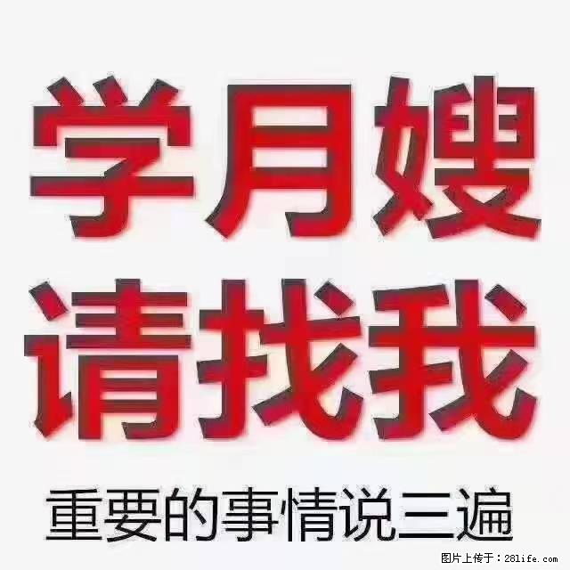 【招聘】月嫂，上海徐汇区 - 职场交流 - 临沂生活社区 - 临沂28生活网 linyi.28life.net
