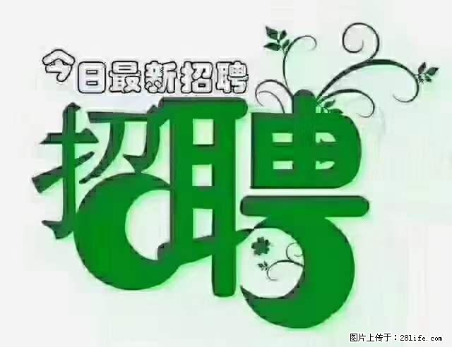 上海隔离酒店招人：55岁以下 男女不限 - 职场交流 - 临沂生活社区 - 临沂28生活网 linyi.28life.net