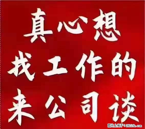 【上海】国企，医院招两名男保安，55岁以下，身高1.7米以上，无犯罪记录不良嗜好 - 职场交流 - 临沂生活社区 - 临沂28生活网 linyi.28life.net