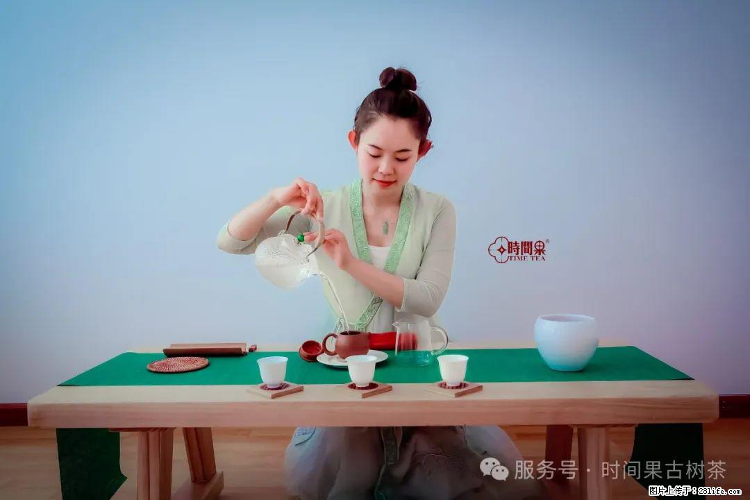 时间果百年古树龙珠普洱生茶 - 购物交流 - 临沂生活社区 - 临沂28生活网 linyi.28life.net