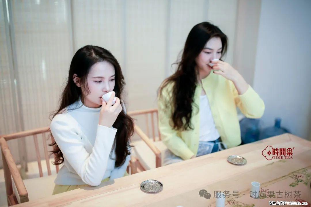 时间果百年古树龙珠普洱生茶 - 购物交流 - 临沂生活社区 - 临沂28生活网 linyi.28life.net