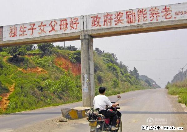 全面两孩政策计划明年元旦起实施 夫妻可延长生育假 - 临沂生活资讯 - 临沂28生活网 linyi.28life.net