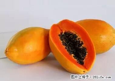 晕车、脚气、牙齿变黄、皮肤粗糙?学会这些三分钟搞定! - 临沂生活资讯 - 临沂28生活网 linyi.28life.net
