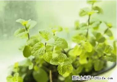 晕车、脚气、牙齿变黄、皮肤粗糙?学会这些三分钟搞定! - 临沂生活资讯 - 临沂28生活网 linyi.28life.net