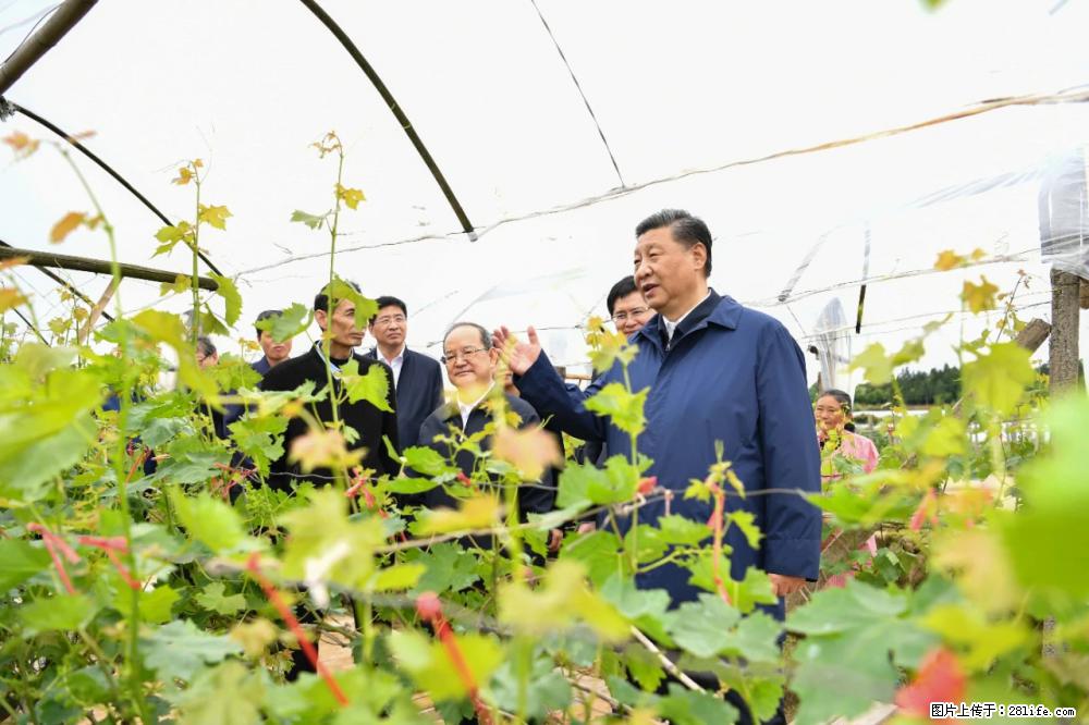 习近平赴广西考察调研 - 临沂生活资讯 - 临沂28生活网 linyi.28life.net