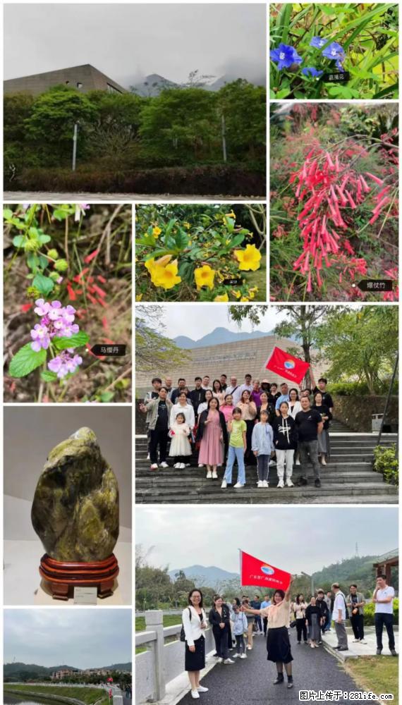 “粤灌文化 美好生活”油茶文化主题活动在广东深圳成功举办 - 临沂生活资讯 - 临沂28生活网 linyi.28life.net