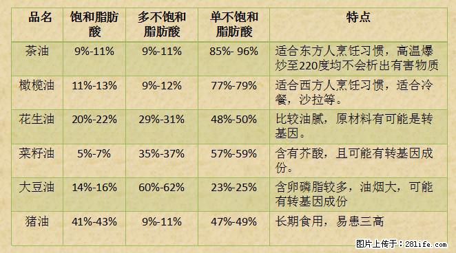 揭秘茶油的5大核心营养成分！被称为人体健康的“守护盾”！ - 临沂生活资讯 - 临沂28生活网 linyi.28life.net