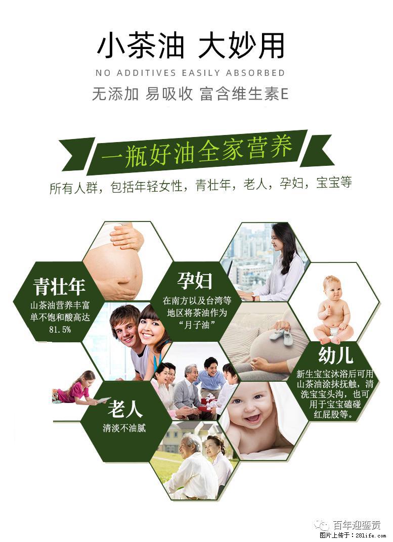 世界没有真相，只有认知，最好的食用油是中国的山茶油！ - 临沂生活资讯 - 临沂28生活网 linyi.28life.net