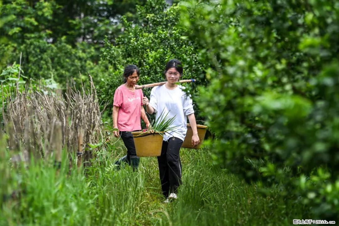 全网追的“扁担女孩”，找了一份暑假工，时薪12元 - 临沂生活资讯 - 临沂28生活网 linyi.28life.net