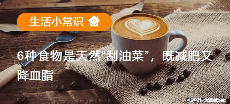 【生活小常识】6种食物是天然“刮油菜”，既减肥又降血脂 - 临沂生活资讯 - 临沂28生活网 linyi.28life.net