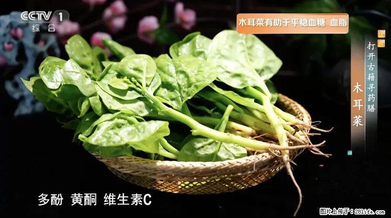 比牛奶补钙还厉害!凉血解毒、稳血糖...这菜冬天必吃,很多人却当草 - 临沂生活资讯 - 临沂28生活网 linyi.28life.net