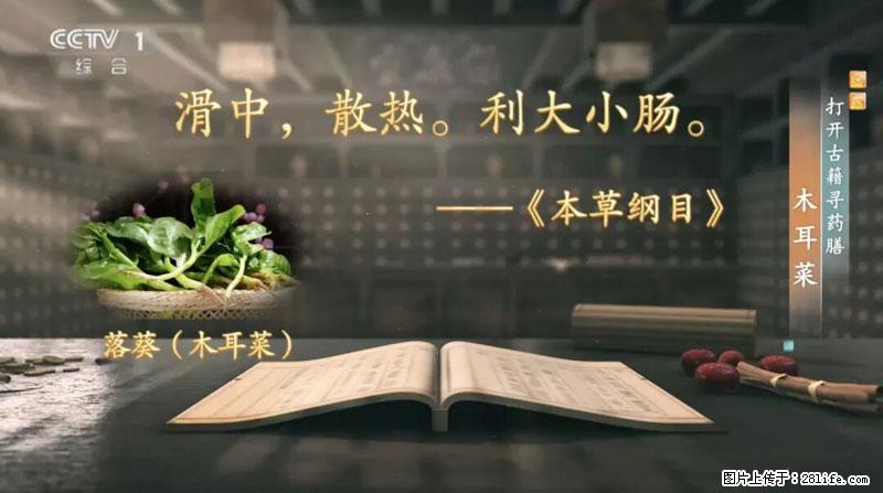 比牛奶补钙还厉害!凉血解毒、稳血糖...这菜冬天必吃,很多人却当草 - 临沂生活资讯 - 临沂28生活网 linyi.28life.net