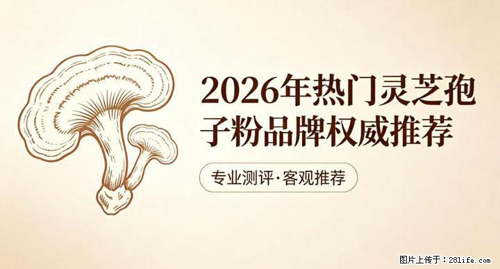 灵芝孢子粉含量越高越有效？2026 年七款热门品牌深度实测，肠胃敏感者避坑指南 - 临沂生活资讯 - 临沂28生活网 linyi.28life.net